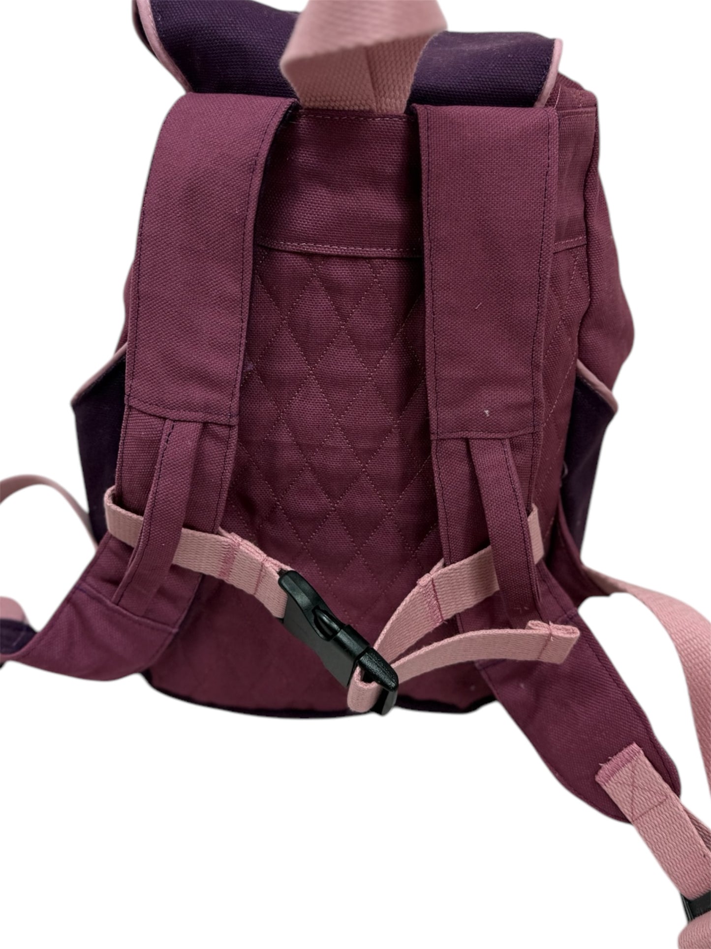 Rückansicht: Verstellbare Träger und Brustgurt für sicheren Halt