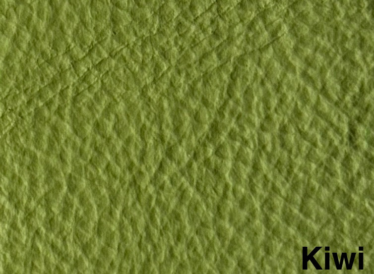 Leder Kiwi