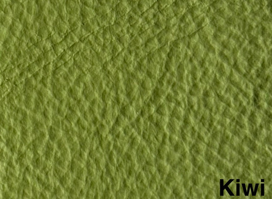 Leder Kiwi