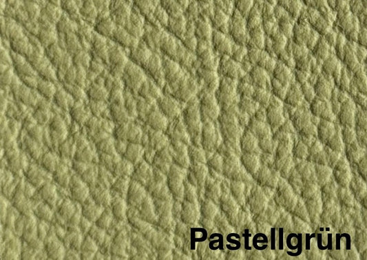 Leder Pastellgrün