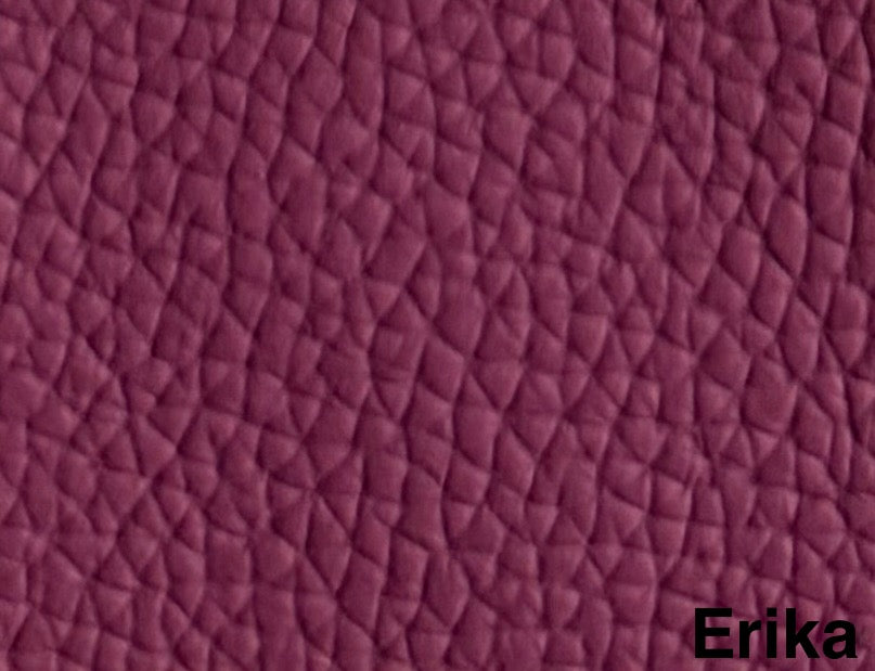 Leder Erika