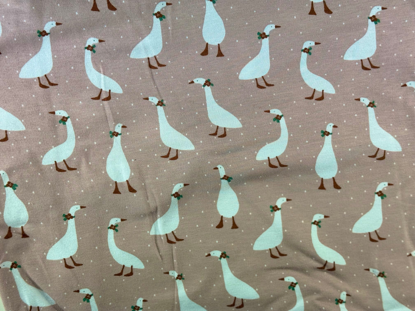 Jersey Gans