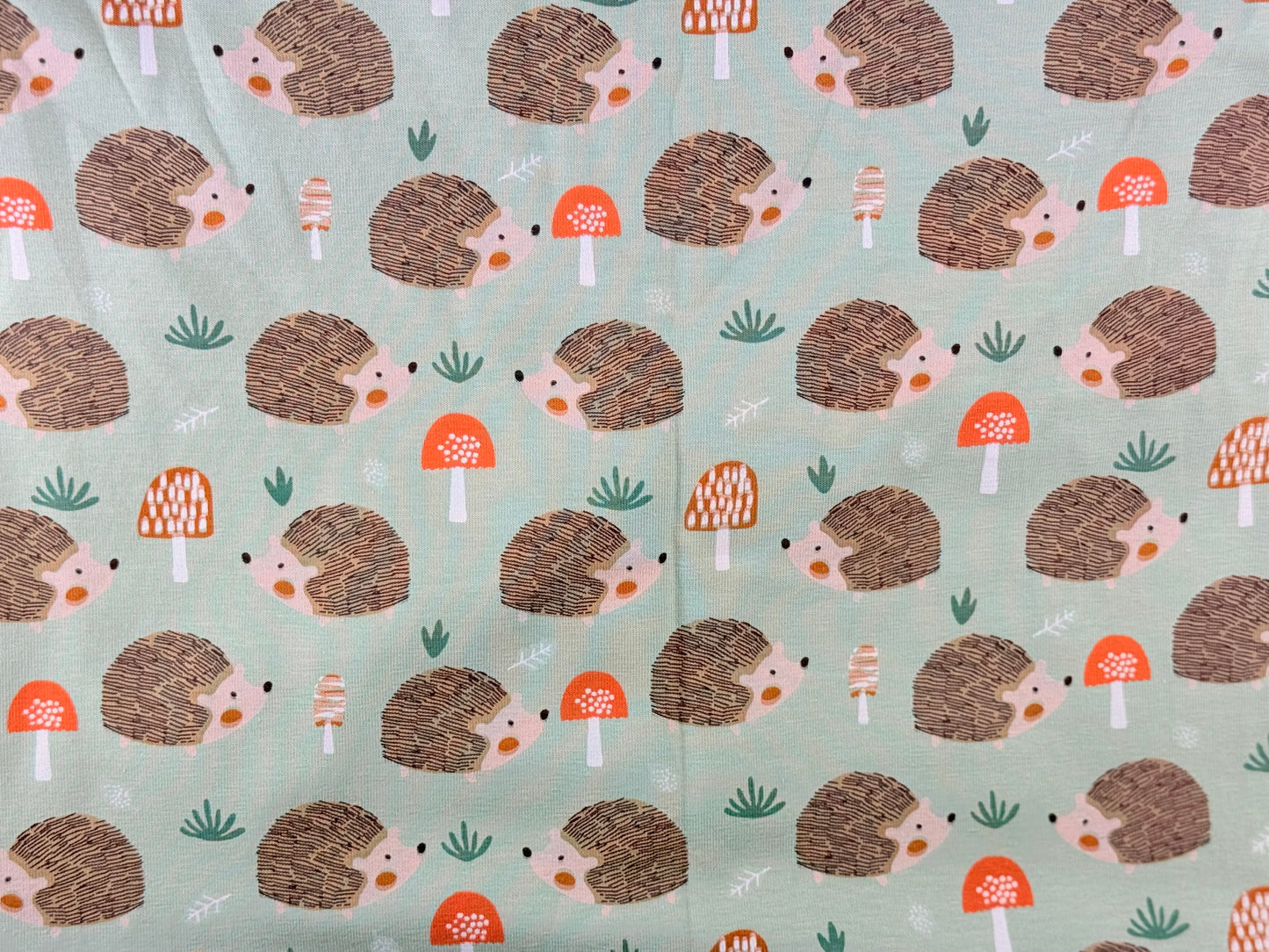 Jersey Igel
